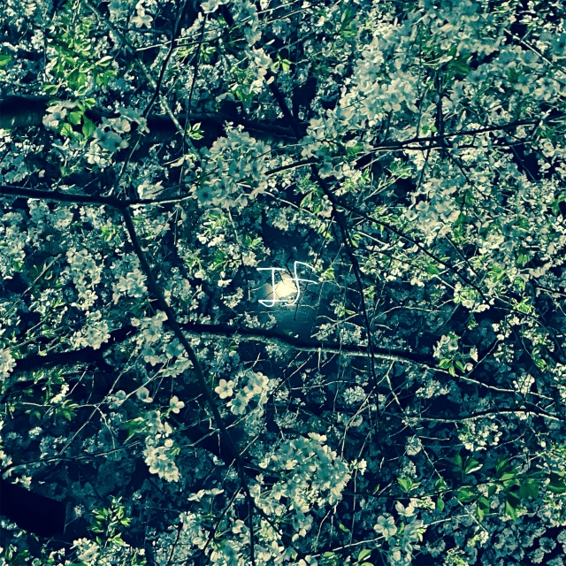 武 幸佑 acoustic digital mini album 「If」